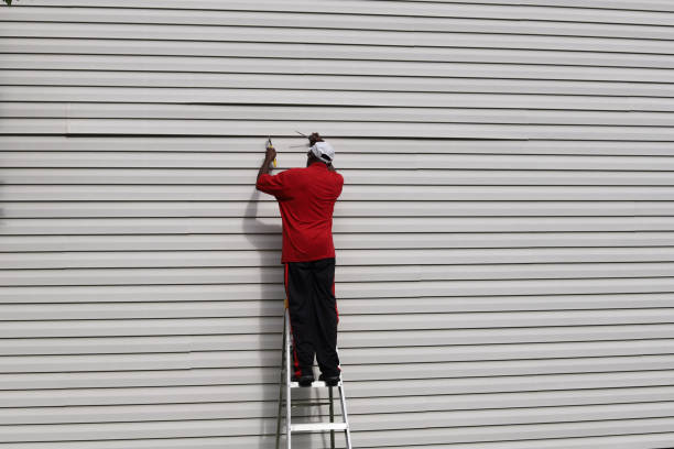 Best Custom Siding Design  in Romoland, CA