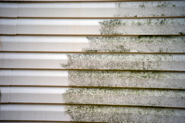 Affordable siding repair and maintenance services in Romoland, CA