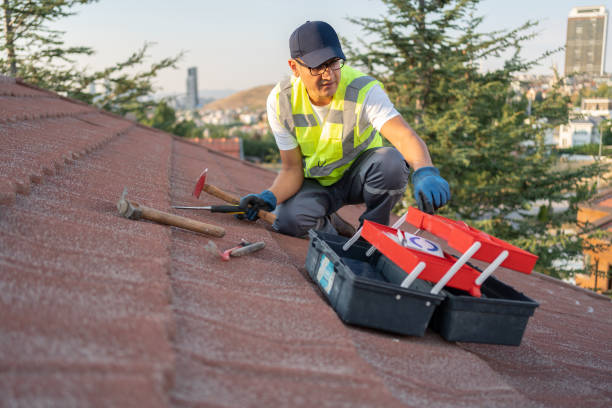 Best Insulated Siding Installation  in Romoland, CA